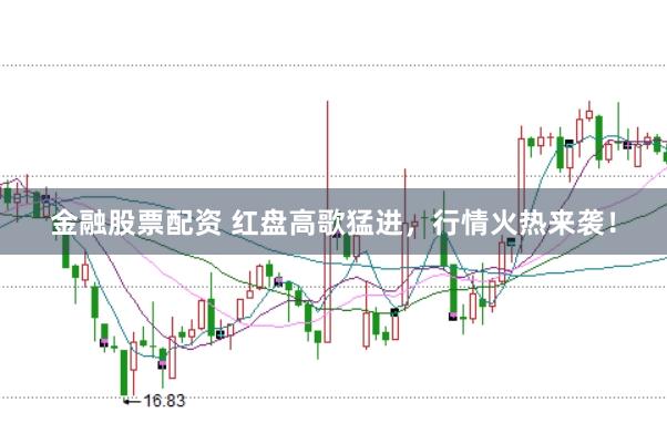 金融股票配資 紅盤高歌猛進，行情火熱來襲！